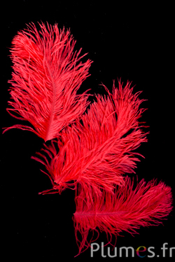Autruche têtes - 10-15 cm - rouge